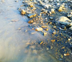View of pebbles in sea