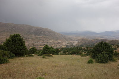 View of trees on landscape against cloudy sky