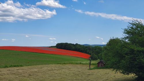 Scenic view of field against sky