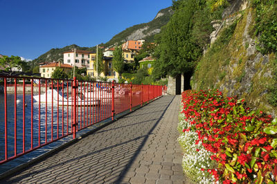 View of pathway by the lake