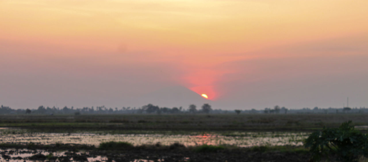 sky, environment, sunset, beauty in nature, landscape, nature, dawn, horizon, scenics - nature, cloud, plant, evening, no people, sun, field, land, orange color, outdoors, tranquility, tranquil scene, plain, dramatic sky, rural scene, agriculture, tree, grass, non-urban scene, twilight, red