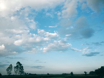 Low angle view of trees on field against sky