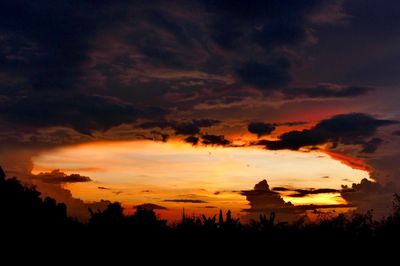 Silhouette of trees against cloudy sky