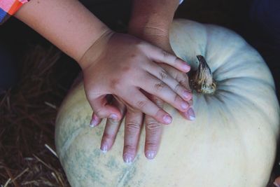 Cropped hands touching pumpkin in field