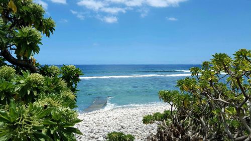 Scenic view of beach against blue sky