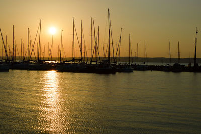 Sailboats in marina at sunset