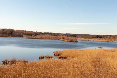 Scenic view of lake against clear sky