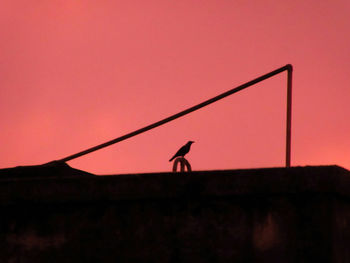 Silhouette bird perching on pole against sky during sunset