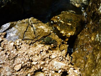 Close-up of rock