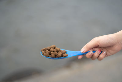 Close-up of hand holding ice cream