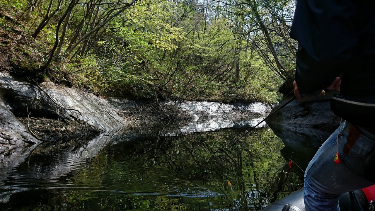 lifestyles, tree, leisure activity, men, water, forest, standing, low section, casual clothing, nature, person, rear view, rock - object, river, day, outdoors