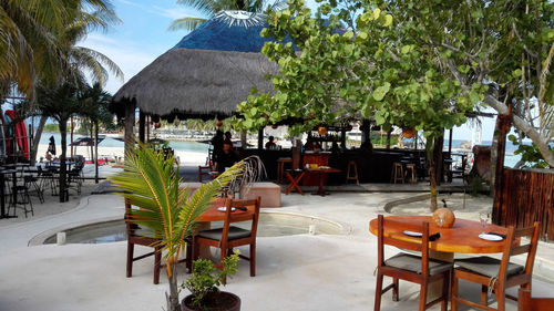 Chairs and table against trees