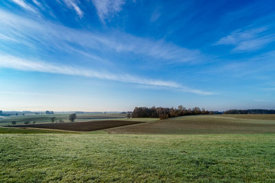 Scenic view of agricultural field against sky