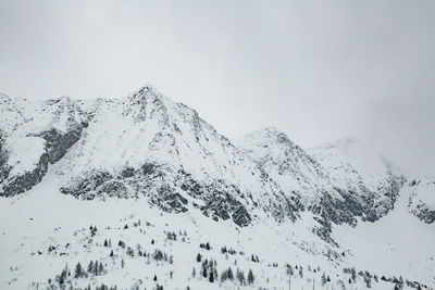 Scenic view of snow covered mountain against sky