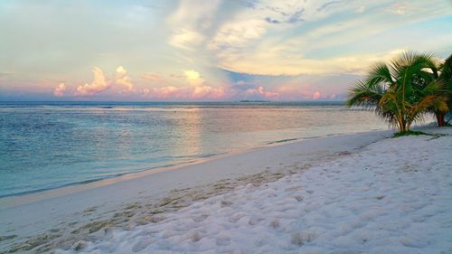 Scenic view of sea at sunset