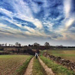 Road passing through field