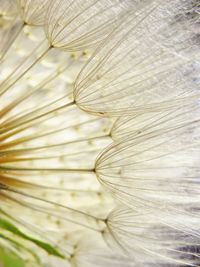 Macro shot of abstract background