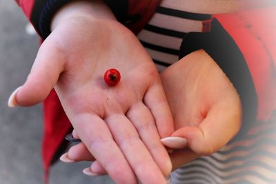 Close-up of hand holding ladybug