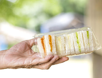 Close-up of person holding ice cream