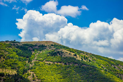 Scenic view of landscape against cloudy sky