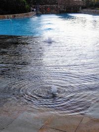 High angle view of swimming in lake