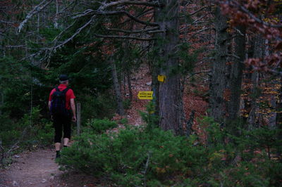 Rear view of man standing by plants in forest