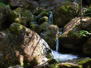 Scenic view of waterfall in forest