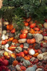 Gourds piled up as decoration