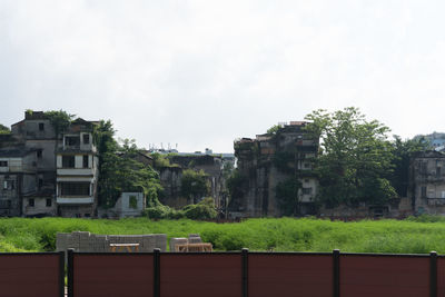 Plants and buildings against sky