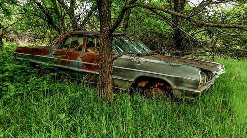 Abandoned car on field