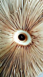 Full frame shot of pattern