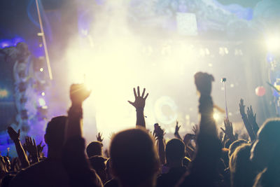 Crowd at music concert