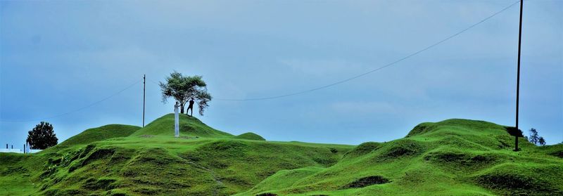 Low angle view of trees on mountain against sky