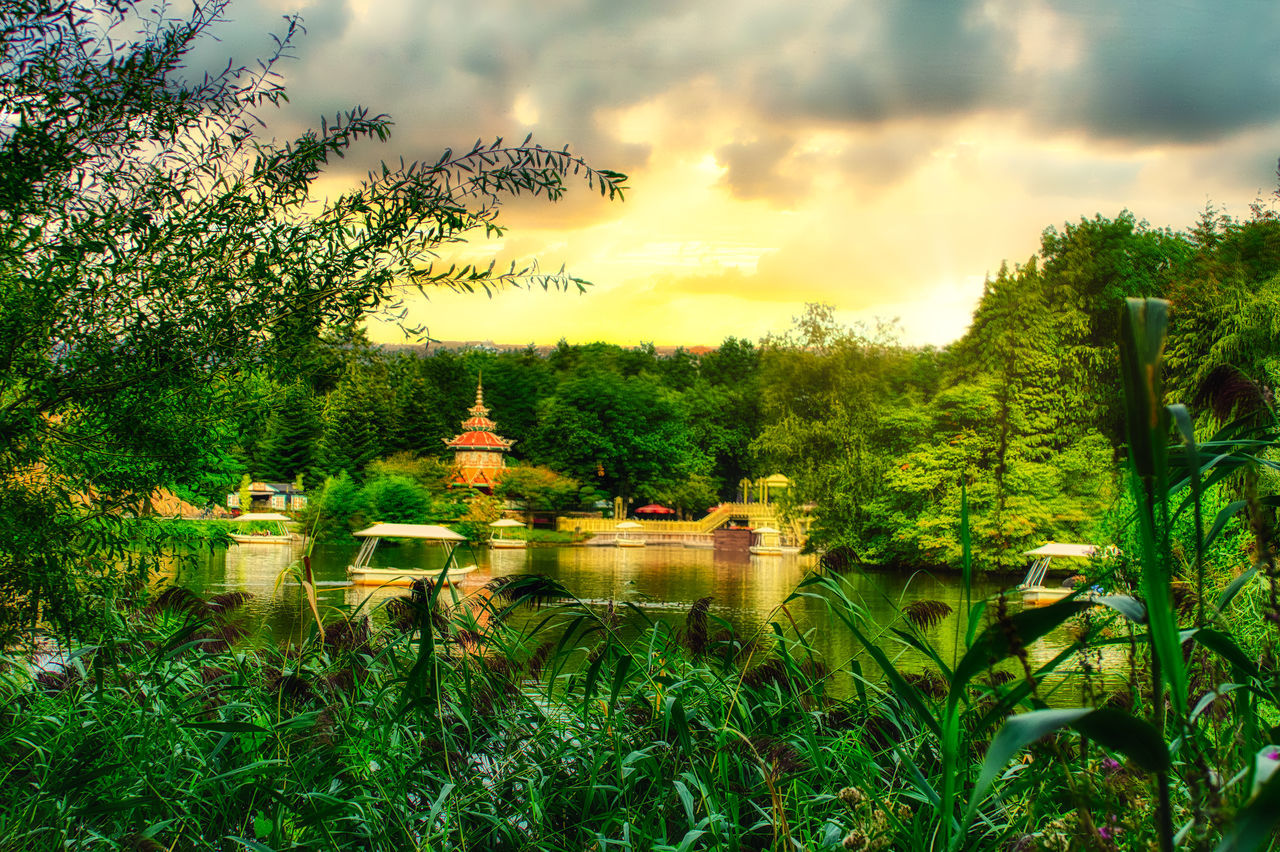 plant, tree, sky, cloud - sky, nature, beauty in nature, growth, scenics - nature, water, no people, green color, built structure, architecture, day, nautical vessel, outdoors, transportation, lake, tranquility