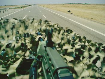 Close-up of rifle amidst leaves on road