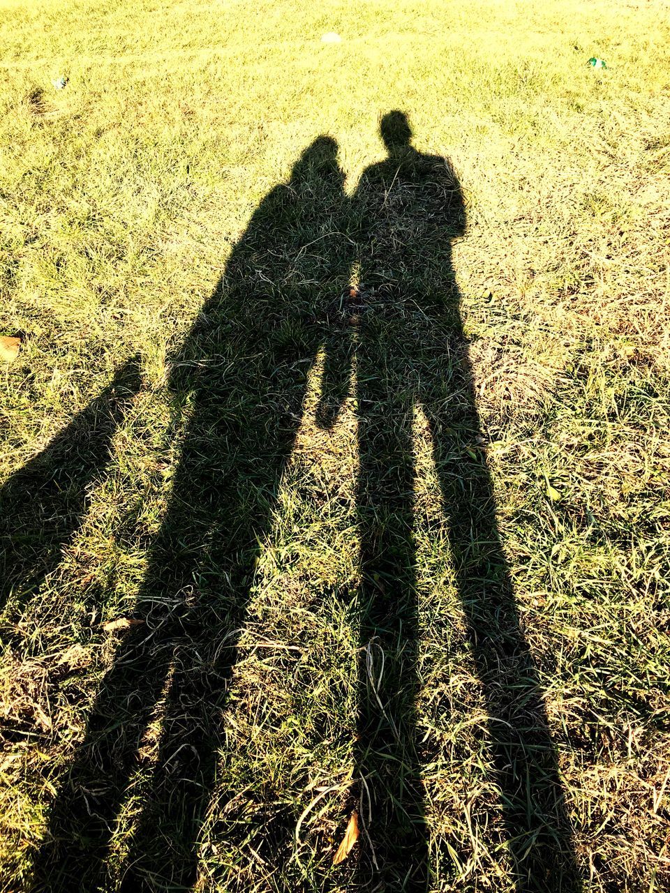 HIGH ANGLE VIEW OF SHADOW ON GROUND