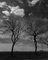 Bare tree on field against sky