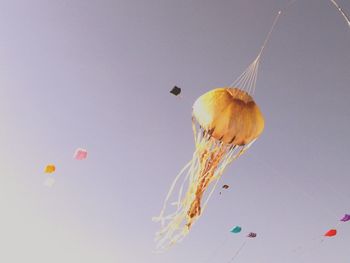 Low angle view of birds flying against clear sky