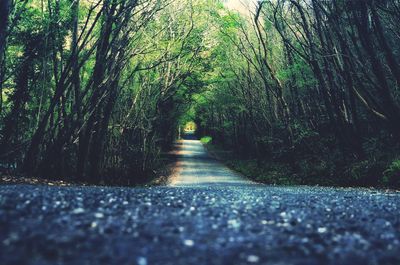Road amidst trees in forest