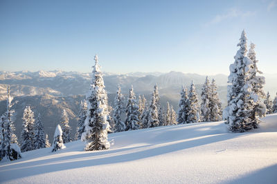 Winter in the austrian alps. white christmas concept