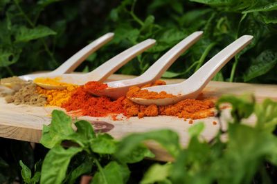 Close-up of food served on table