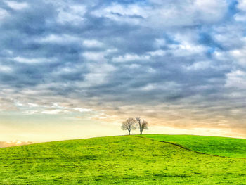 Scenic view of land against sky