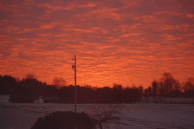 Silhouette trees on field against orange sky