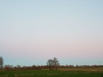 Scenic view of field against clear sky