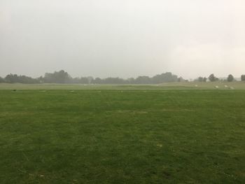 Scenic view of grassy field against sky