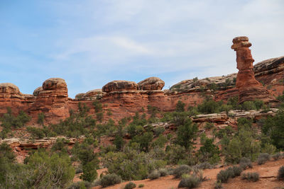 Landscape of red rock formations and desert greenery at canyonlands national park in utah