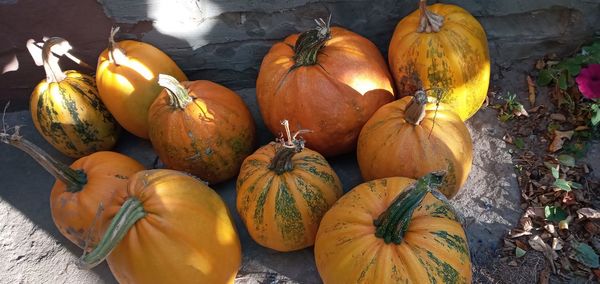 High angle view of pumpkins in market