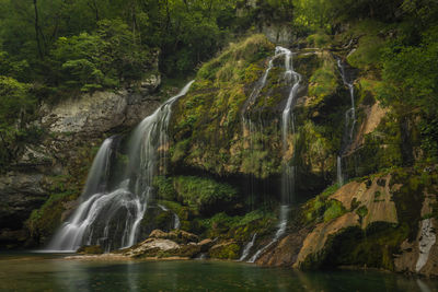 Scenic view of waterfall in forest