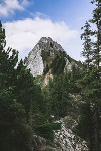 Low angle view of trees and mountain against sky