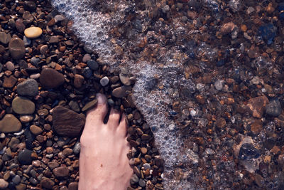 Close-up of hand on sea shore
